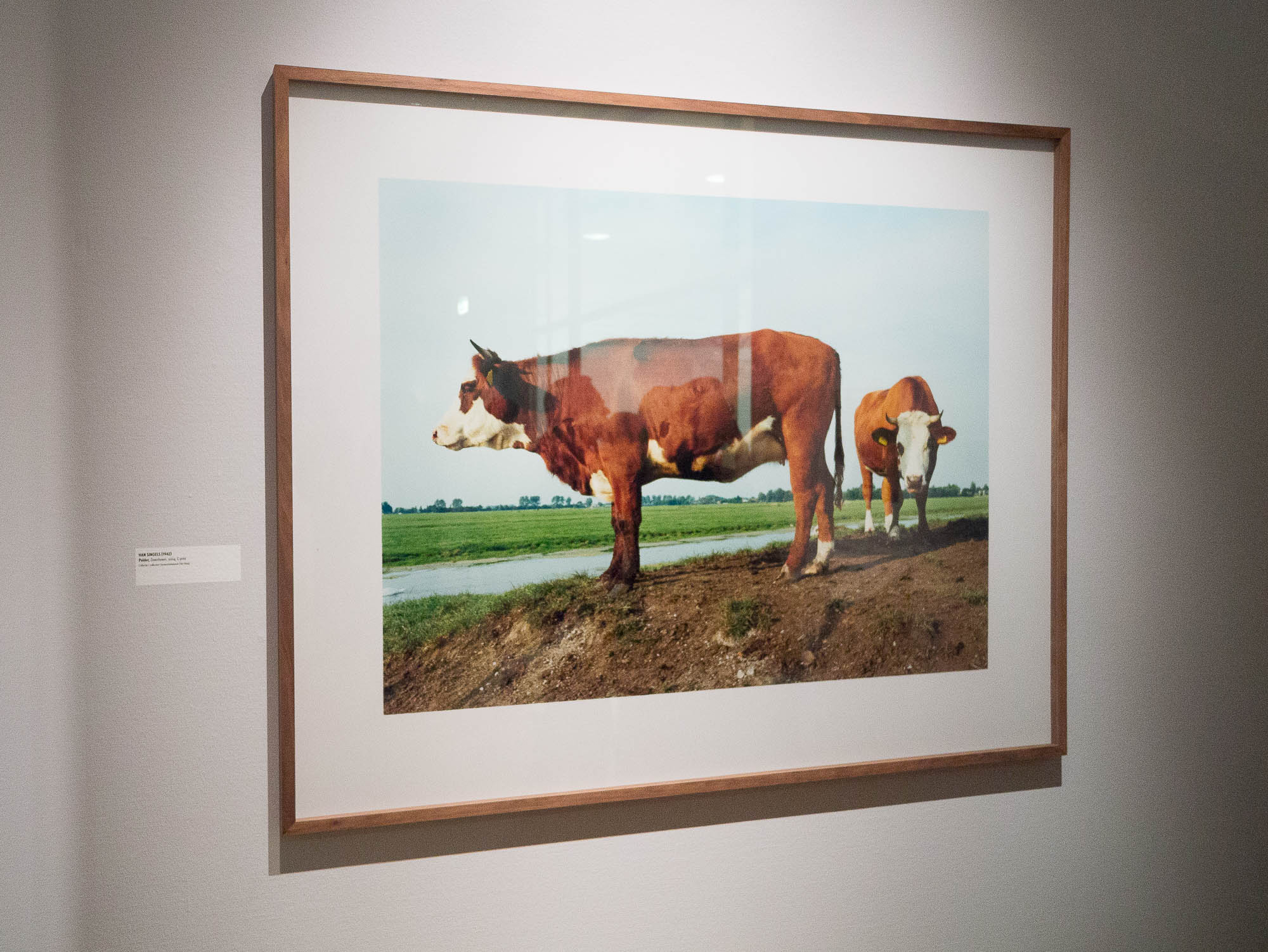 Boeren-Avonturen op het land