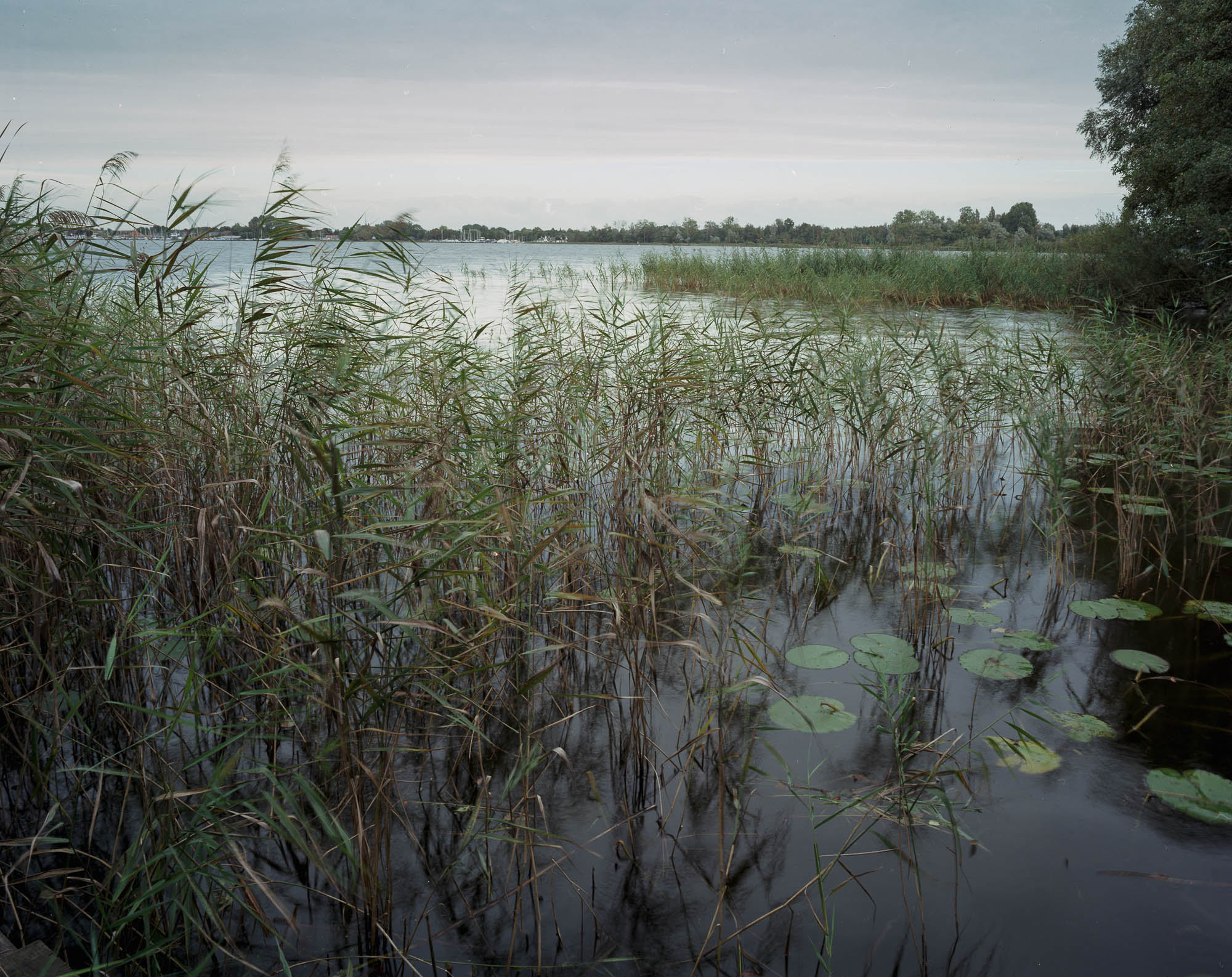Wijdemeren 22