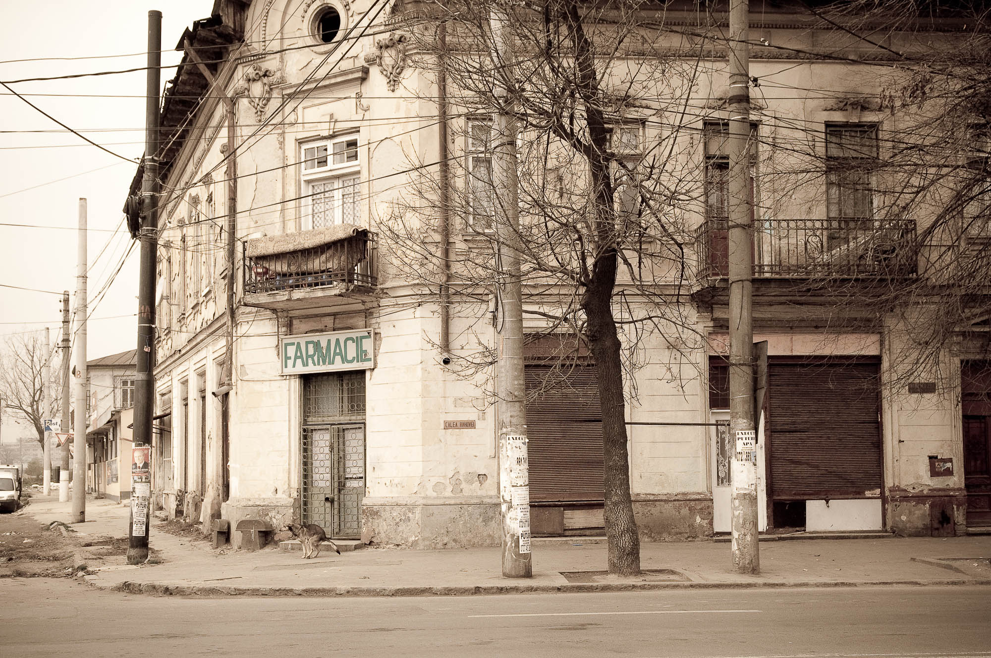 Bucharest decay 14